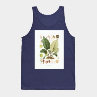 Anthurium Radicans - Aroideae Maximilianae - Botanical Illustration Tank Top